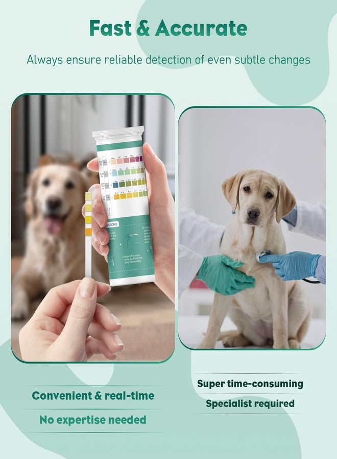 Pawfly Urine Test Strips, 100 Strips, Pet Urine Testing Strips for Ketone, Glucose, Specific Gravity & pH, Urinalysis Test Strips for Vets - Image 4